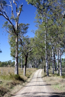 Access roads into the park are unsealed. Some areas are accessible only by four-wheel-drive. 