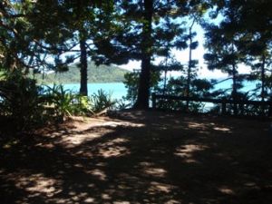 Joes Beach camping area. 