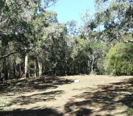 The Razorback camping area is accessible by high-clearance 4WD in dry conditions only. To access Razorback camping area with an off-road camper trailer, enter via Dawson Highway and Tableland Road park entrance. Access along Razorback track from the south-west is unsuitable for towing. 