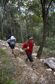 Image of walkers enjoying a steep climb in the fresh air up Gheerulla Bluff.