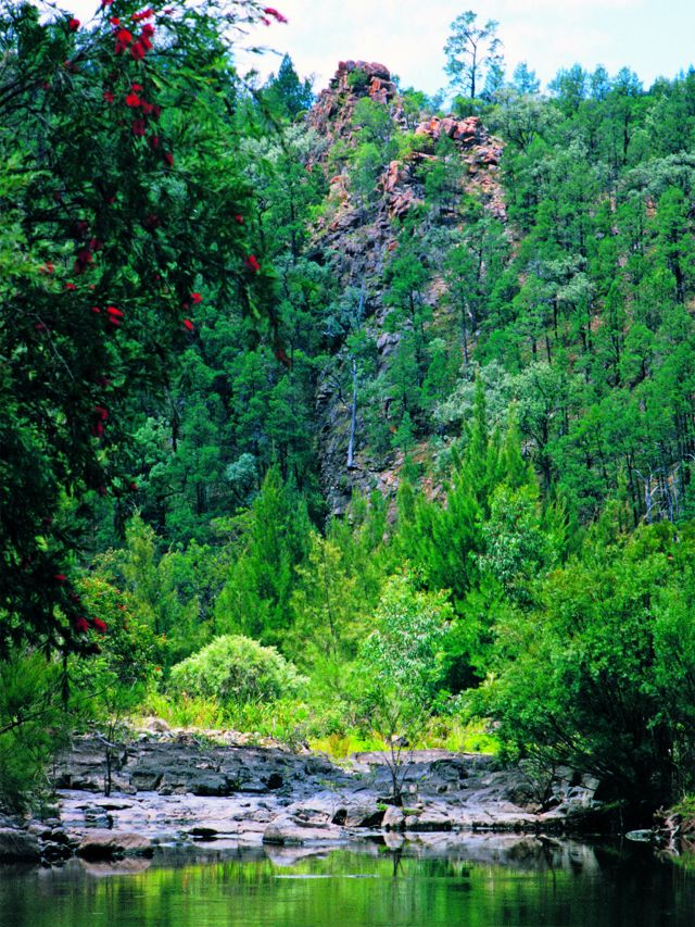 Rats Castle—a distinctive granite outcrop—is a feature of the Burrows Waterhole to Rats Castle track.