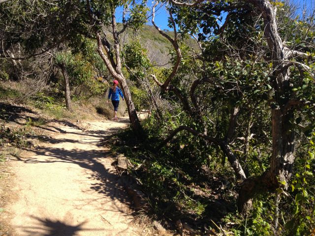 The Coastal Walk winds through a variety of classic vegetation.