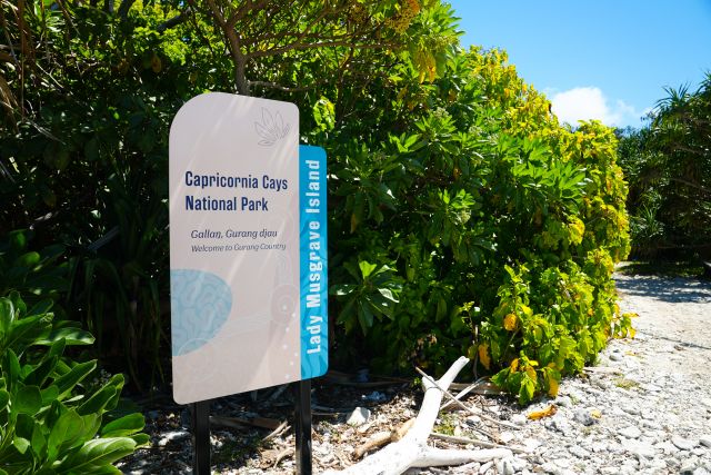 Welcome to Lady Musgrave Island.