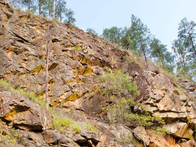Steep rock faces shelter a cool, moist side gorge on the Ooline Creek track.