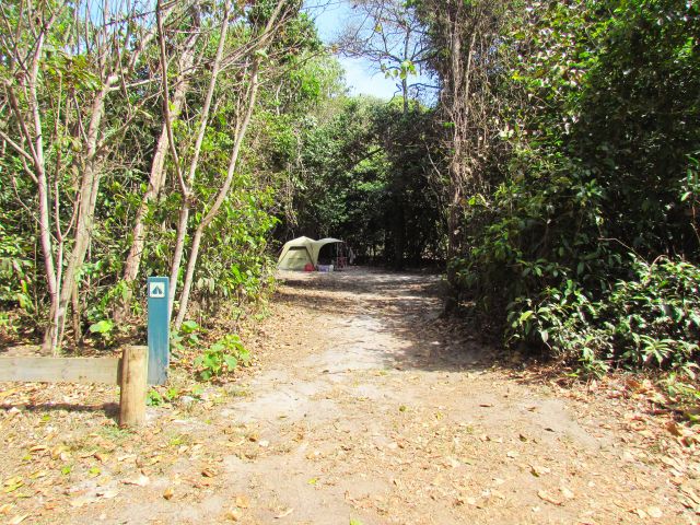 Choose a camp site tucked away in coastal vegetation for a more secluded experience.