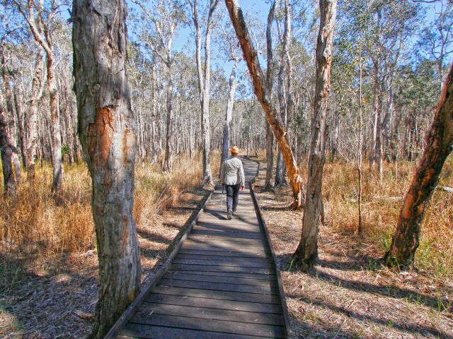 The Banksia track has an 800m boardwalk through paperbark wetlands.