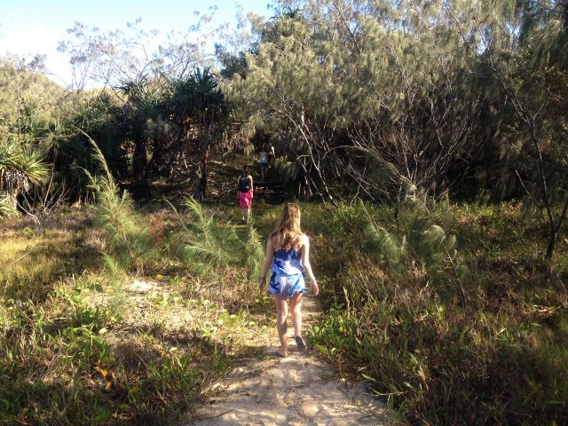 Follow a footpad through goat's foot vines, pandanus and coastal she oak.