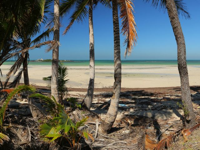 The Chilli Beach forest walk winds through coastal dunes and wetlands beside Chilli Beach.