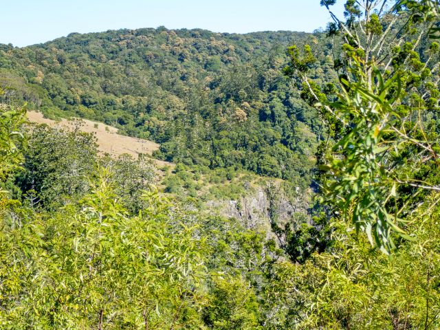The Barker Creek lookout track leads to views of Big Falls and the gorge below.