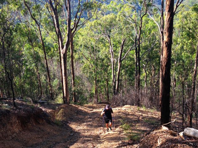 Hike, cycle or ride your horse along the loop.