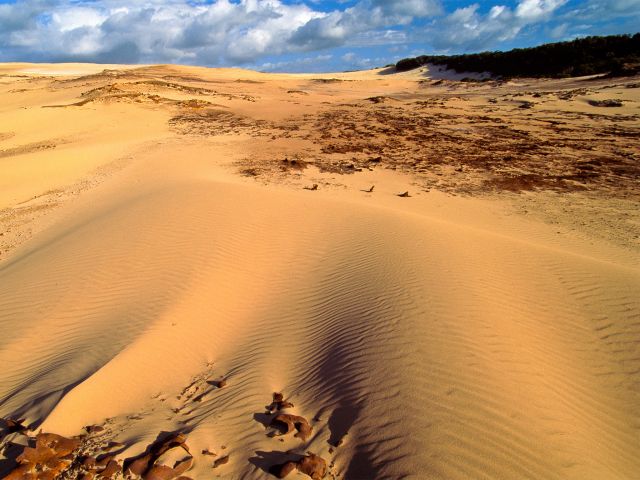 View of Big Sandhills on the Southern Island discovery drive.