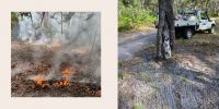 Left-side image: Ground vegetation is alight with fire. The ground vegetation consists of dry leafy foliage, having fallen from the trees above. Right-side image: A scar tree with raking to clear any fallen dry debris nearby the base of the tree. An off-road ranger vehicle is in the background, parked alongside a fire break road. 