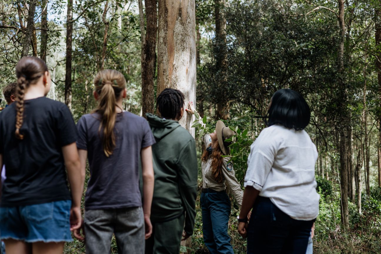 Photo of Wildlife Ranger showing koala scratch marks to a group of visitors.