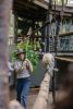 Photo of Wildlife Ranger bringing fresh eucalyptus leaf to female koala, Wynter.