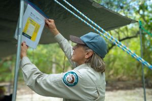 Display your camping permit on your tent. 