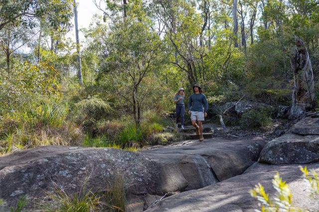 Two hikers walking along a rocky section of the walking track to Gudda Gummo lookout. Hikers are surrounded by dense green trees and shrubs in a natural setting.