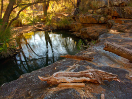McAllisters Creek is a secluded spot.
