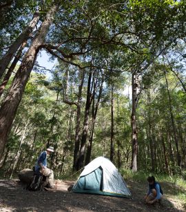All camp sites in Mount Barney National Park are accessed on foot and have no facilities. Campers need to be self-sufficient. 