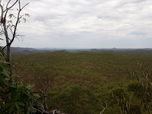 Canyon Resource Reserve's elevated plateaus provide impressive views of the surrounding landscape.