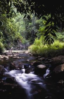 Image of Flatrock which is a great place to rest enroute to Kondalilla.