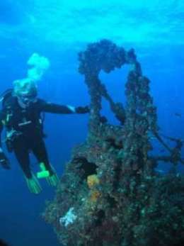 Diver observing the variety of coral growing on the wreck. 