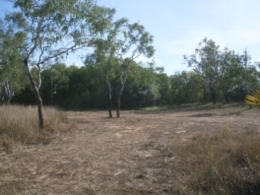 Bizant River camping area