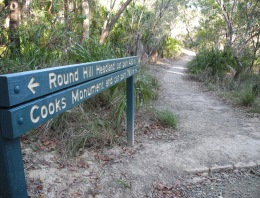 Walking tracks explore the forests and headlands of Joseph Banks Conservation Park. 