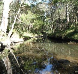 Griffith Creek runs beside the Griffith Creek camping area. It is a great place to camp.
