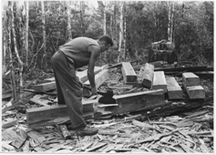 Hewing spotted gum sleepers for railway lines. Coominglah 1939.