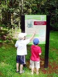 Children looking at the Tulip oak walk trail sign.