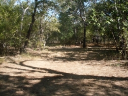 Camp site 2 at Mick Fienn Waterhole camping area. 