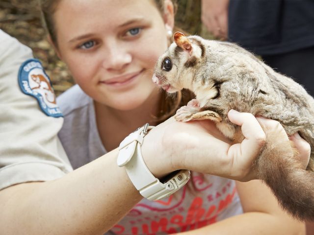 David Fleay Wildlife Park video clip: Share curiously