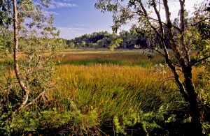 Muulga Wetlands, Edmund Kennedy, Girramay National Park