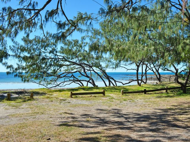 Camp beside the beach in the shade of the sheoaks at Windmill Bay camping area.