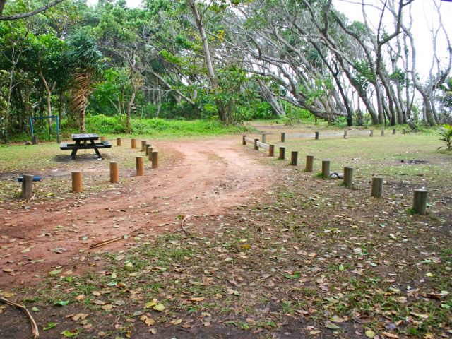 Chilli Beach day-use area is a shady picnic area on the edge of the beach, fringed by rainforest.