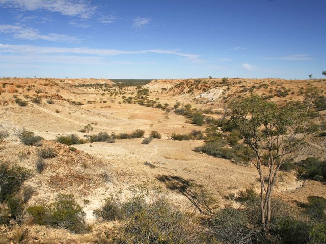 Green turns to brown in drier times.