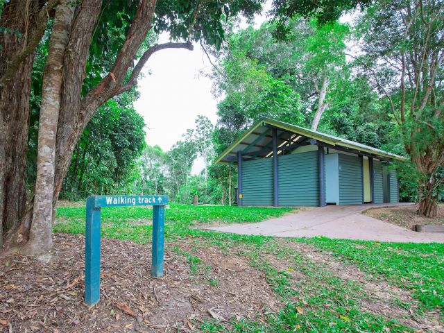 Start the Regeneration walk from either Downfall Creek or Kauri Creek camping areas.
