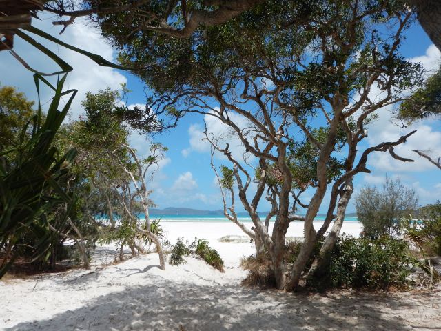 Enjoy the sunshine or rest in the shade at Lookout Beach.