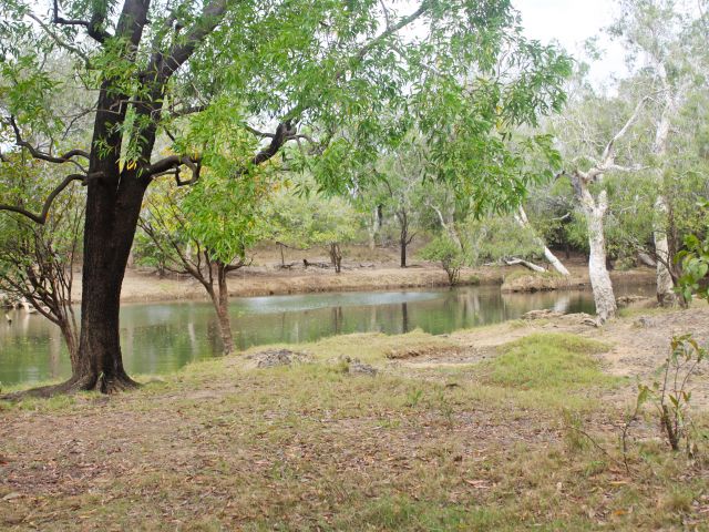 The 5 camp sites are scattered along the western bank of the Normanby River