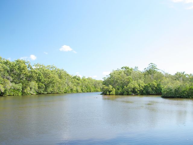 Located on the banks of Coochin Creek, enjoy fishing and canoeing when you camp at Coochin Creek camping area.