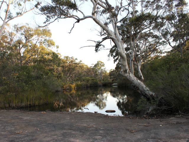 Haydens Flat walkers' camp is only a short distance from the top of Underground Creek.