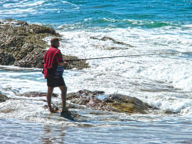 Throw in a fishing line and try your luck from the beach.
