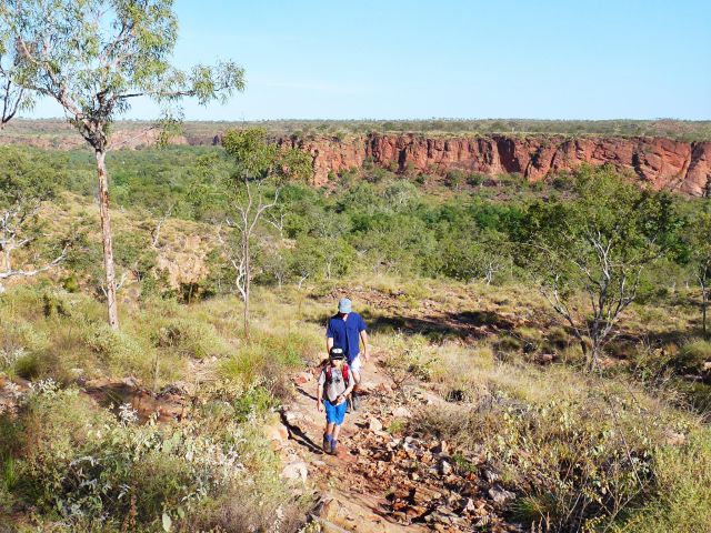 Keep your eyes open for common wallaroos and purple-necked rock wallabies.