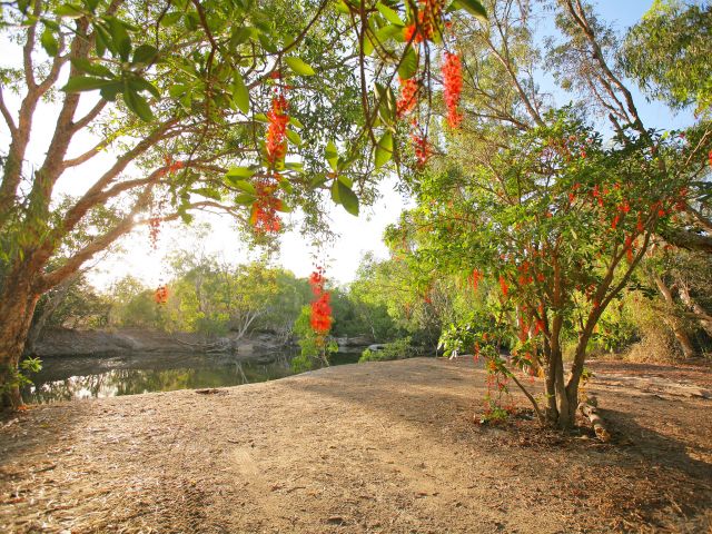 Spend the night at the beautiful Saltwater Crossing camping area.