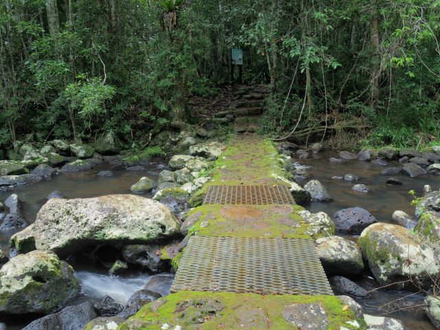 The circuit track passes through upland rainforest and crosses Mobo Creek.