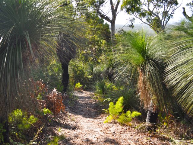 The Mount Tempest lookout track.