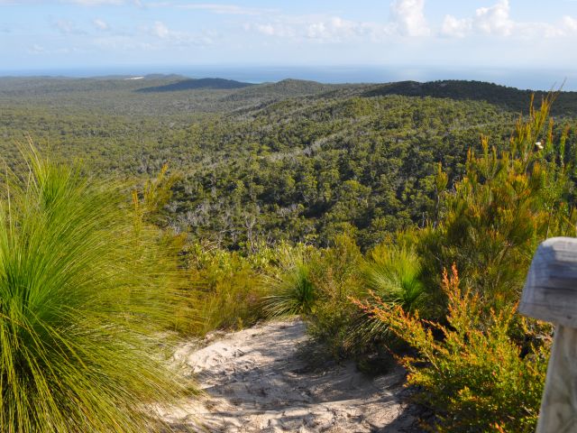 Enjoy panoramic views from the Mount Tempest lookout.