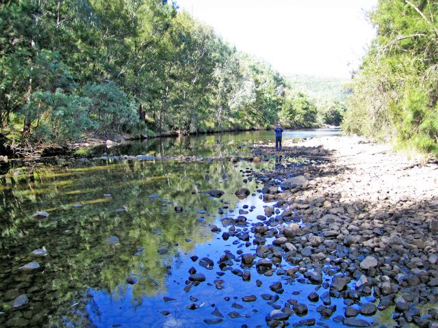 Follow the scenic Severn River on the first part of the Burrows Waterhole to Rats Castle track.