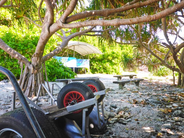 You can use the wheelbarrows to move your camping gear from the beach to your camp site.
