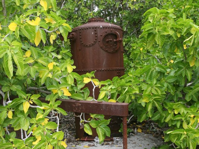 Discover surprising reminders of the turtle cannery industry along this track.